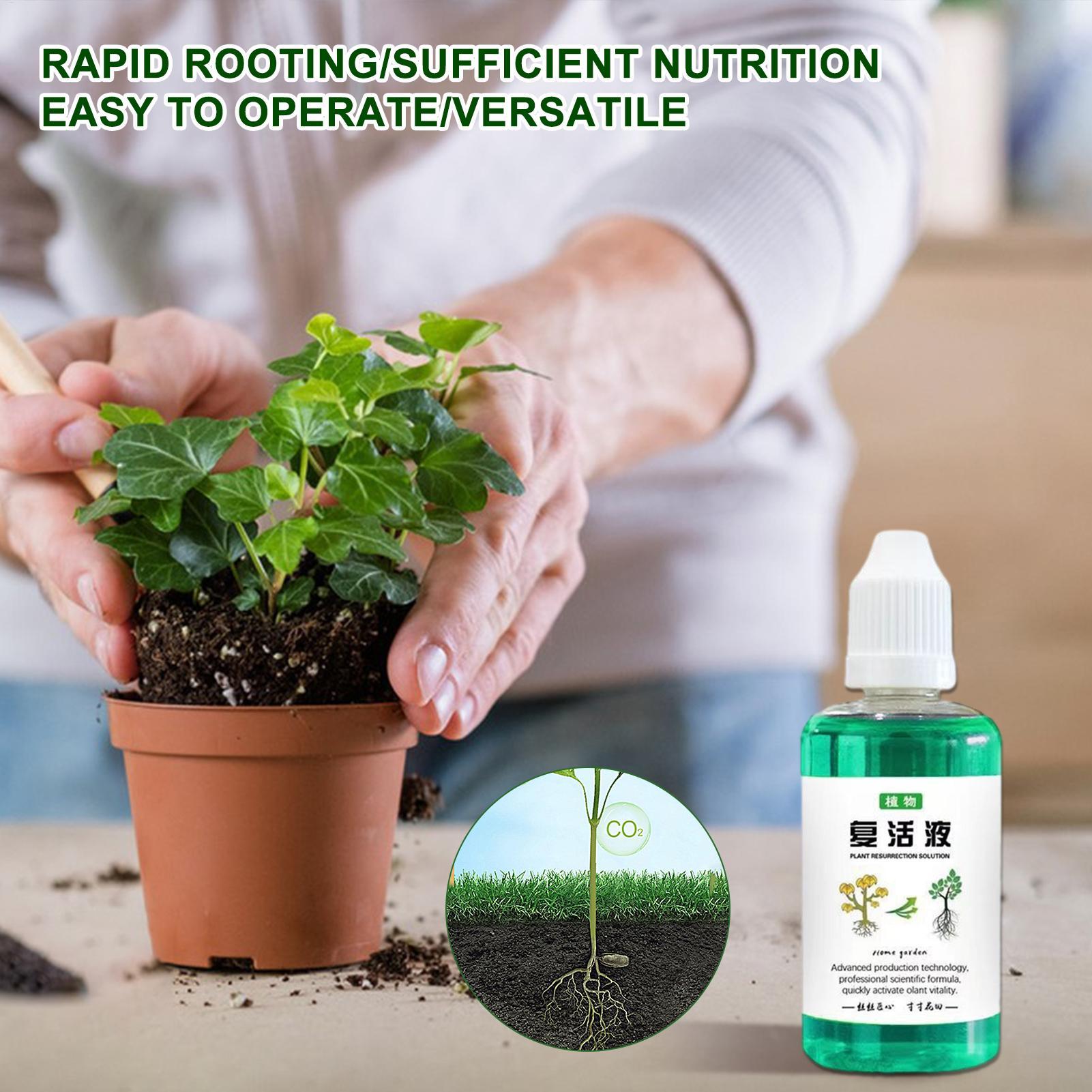 50 мл Стимулятор корнеобразова – обзор и цена Root Stimulator Liquid