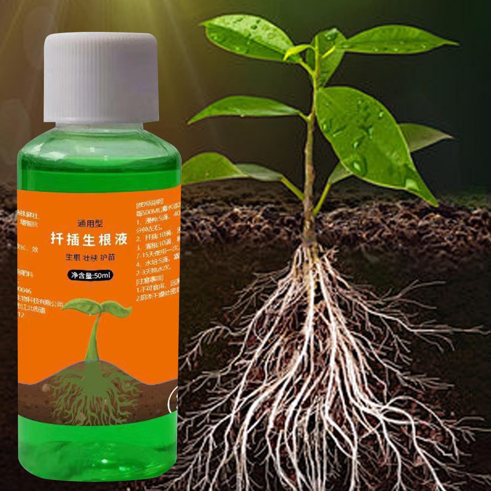 Высокоэффективный стимулятор к – обзор и цена Root Stimulator Liquid
